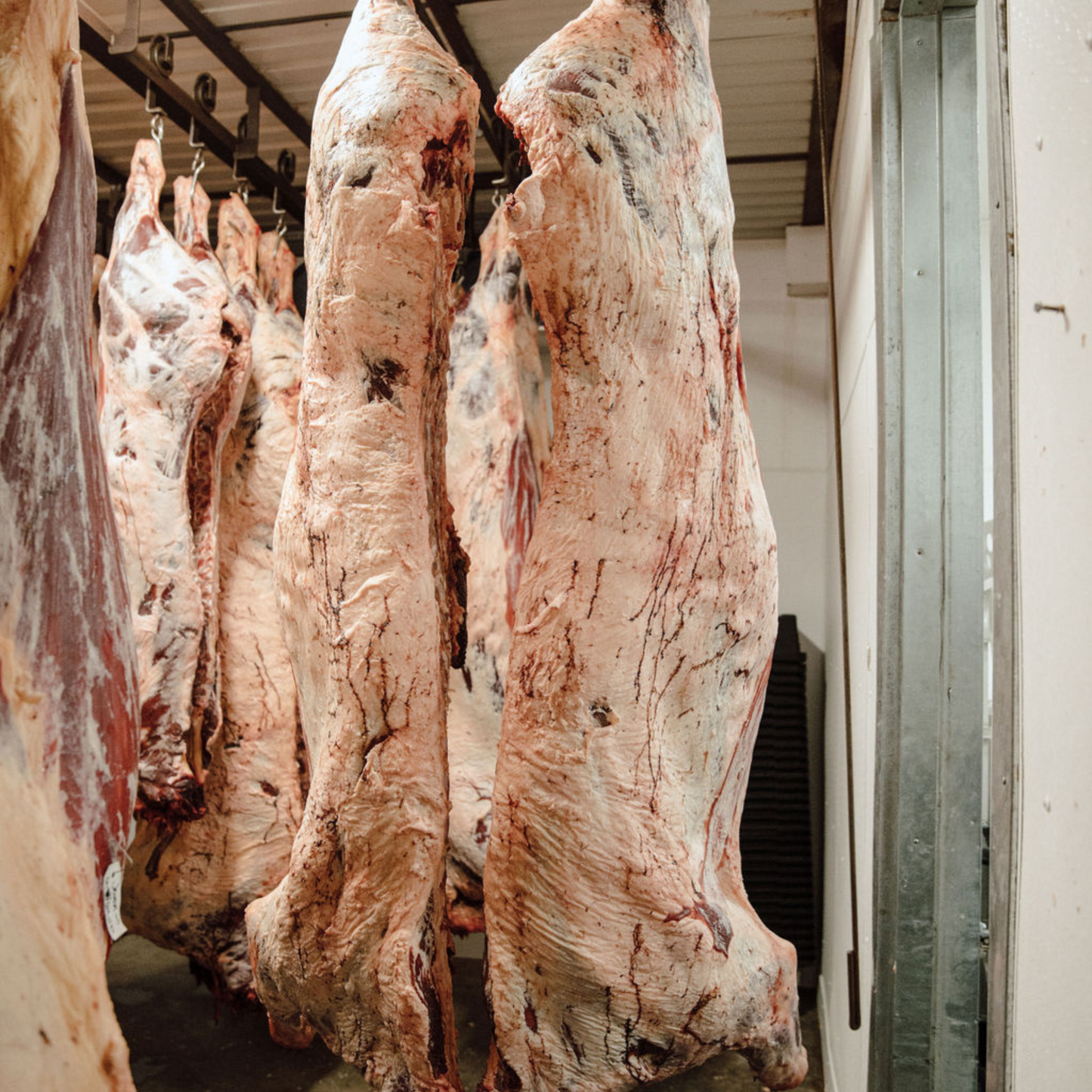 Quarter Beef Package - PICK UP ONLY